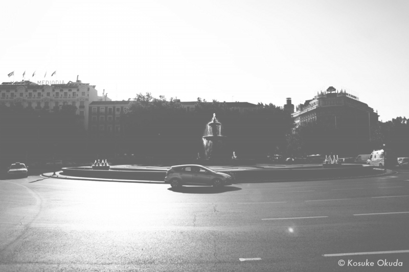 _MG_8604.jpg