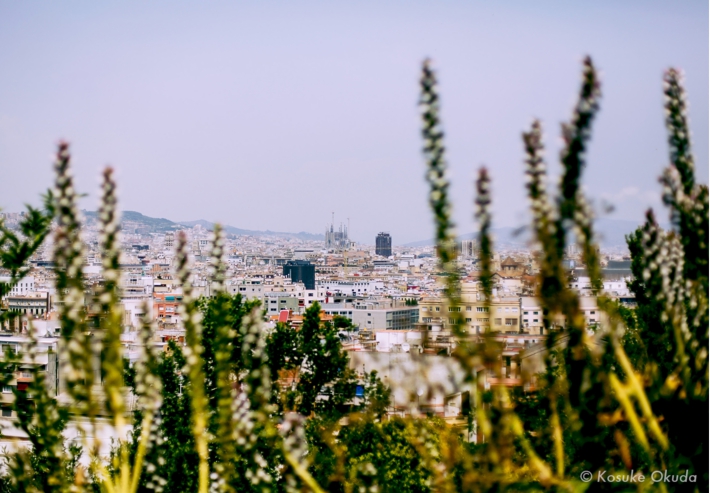 _MG_9616.jpg